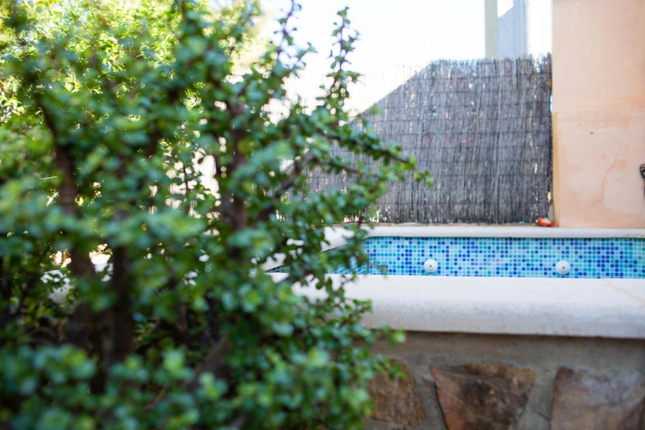 Florit Flats - The Orange Lemon Tree House