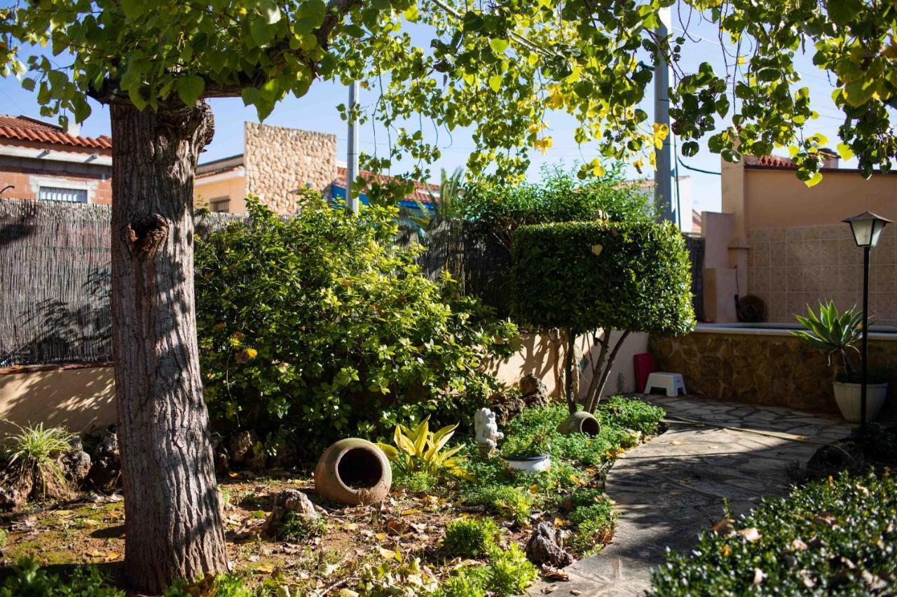 Florit Flats - The Orange Lemon Tree House *