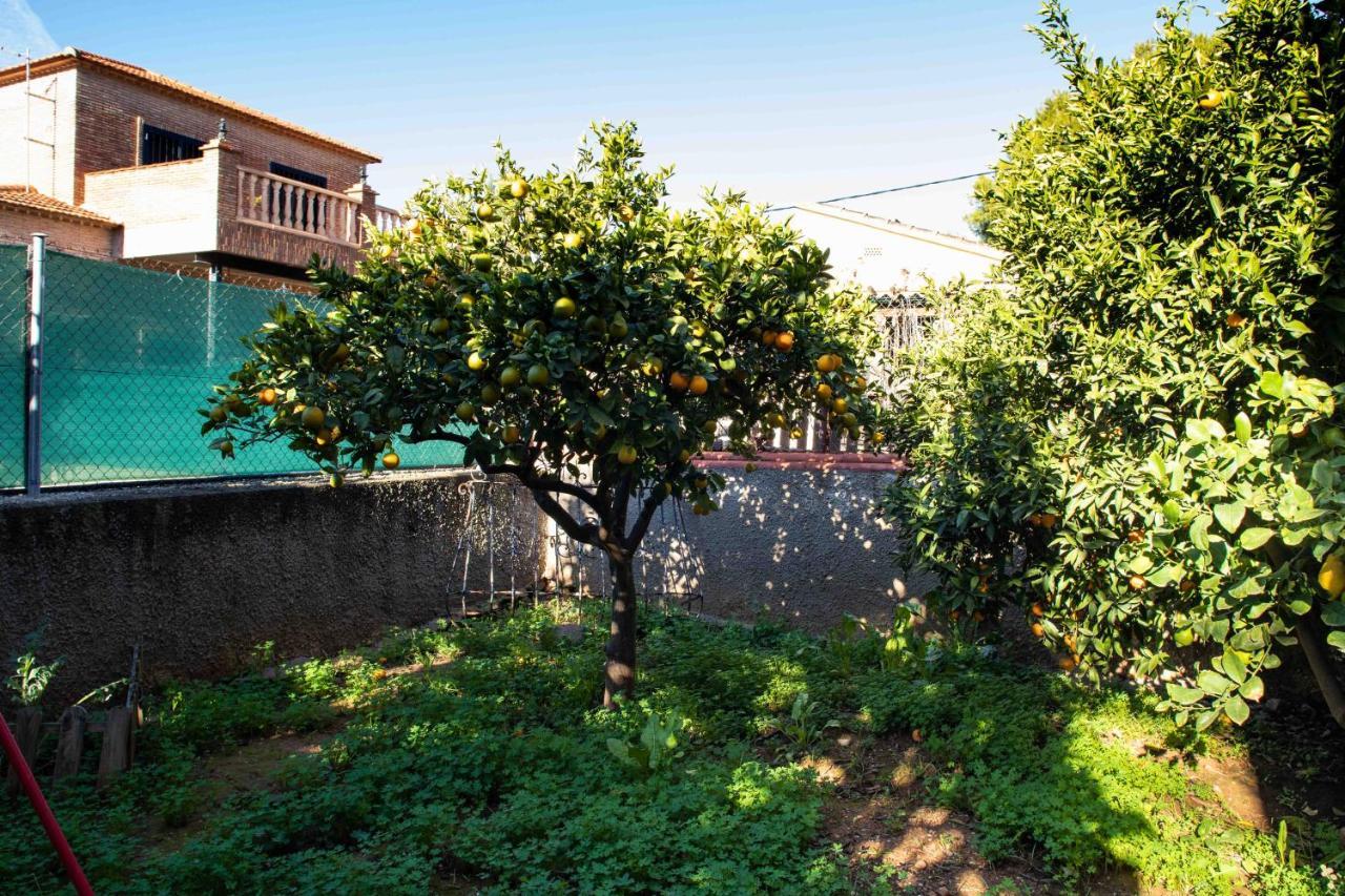 Florit Flats - The Orange Lemon Tree House Ferienhaus *