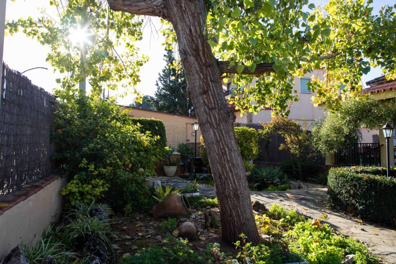Florit Flats - The Orange Lemon Tree House *