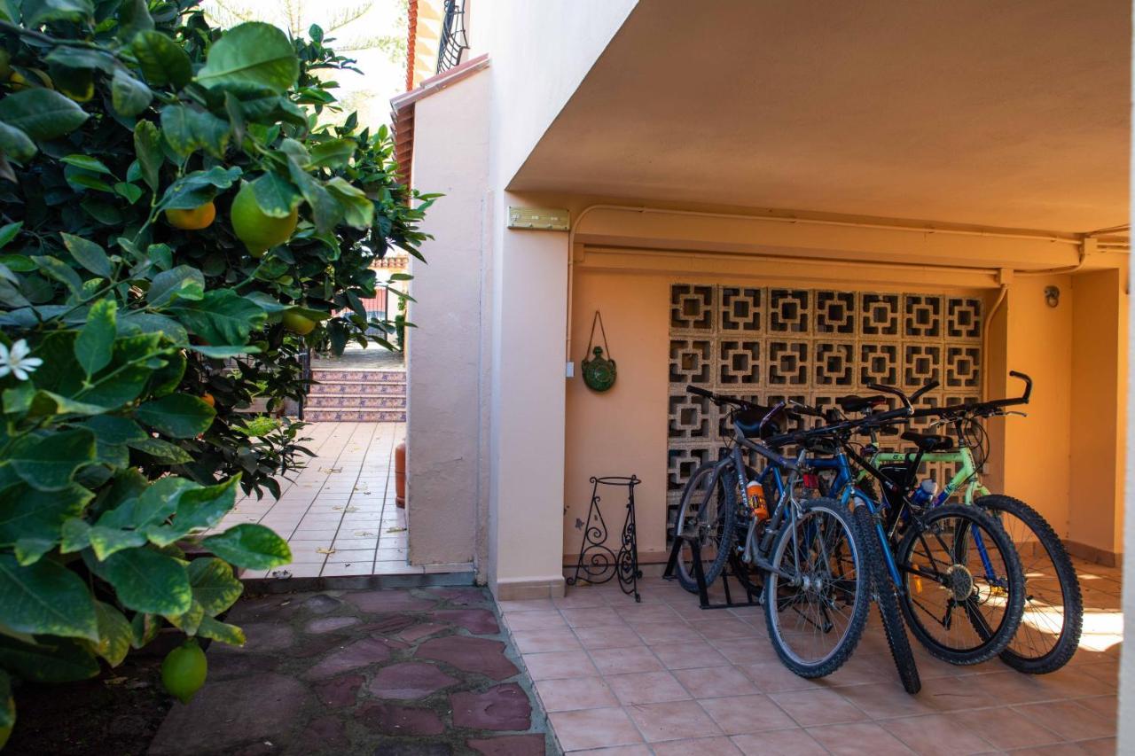 Florit Flats - The Orange Lemon Tree House Hébergement de vacances L'Eliana